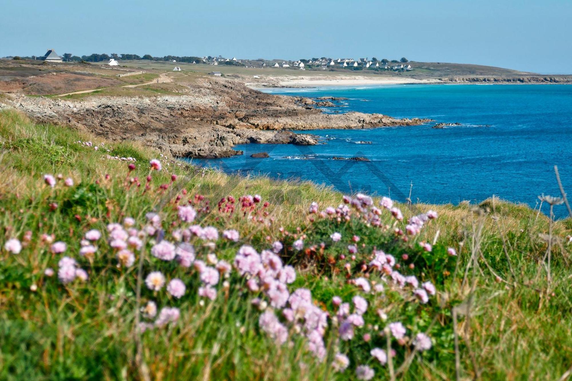 Localise - M11B - A La Pointe - Maison De Vacances Avec Jardin Entierement Clos - A 50M De La Plage - 700M Du Centre - Tout A Pied - Wifi Inclus - Draps Inclus - Animaux Bienvenus Guilvinec Exterior foto